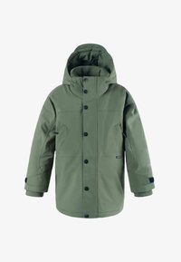 Selected, deep lichen green