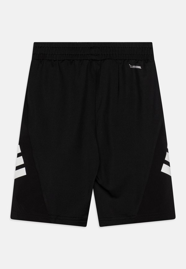 JUNIOR UNISEX - Sports shorts3