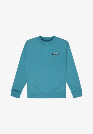 Sweatshirt à col rond turquoise à manches longues avec un petit logo rectangulaire noir et blanc "DCSHOECO" sur la poitrine gauche.