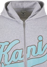 Pelēks sporta džemperis ar rāvējslēdzēju, kas rotāts ar mīkstu, teksturētu gaiši zilu izšūtu logo ar brūniem akcentiem uz krūtīm un regulējamu kapuci.