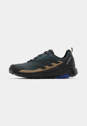 Adidas Terrex ANYLANDER R.RDY - Hiking shoes - aurora ivy/core black/cardboard