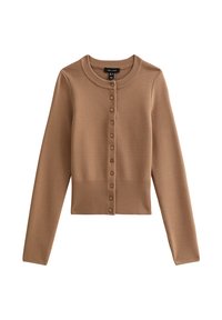 COMPACT CREW NECK - Chaqueta de punto - camel