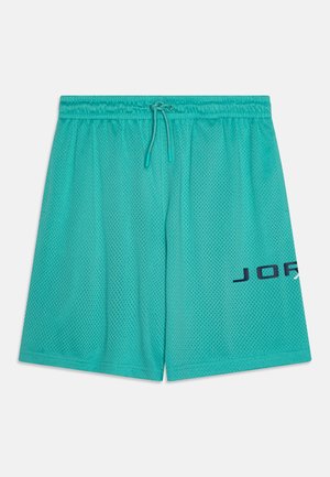 Şorturi din plasă aqua, cu talie elastica și șnur ajustabil; prezintă imprimeul "JORDAN" în nuanță de bleumarin pe un picior.