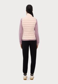 Armani Exchange GILET  - Liemenė - milk punch