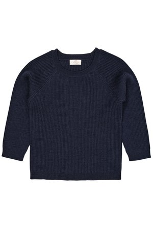 UNISEX - Neule - navy