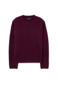 Burgunderfarbener Strickpullover mit Rundhalsausschnitt, gerippten Bündchen und Saum. Weiche Textur und lässige Passform, hergestellt aus einem warmen, kuscheligen Material.