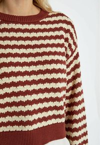 Desires SPAM  - Maglione - madder brown stripe