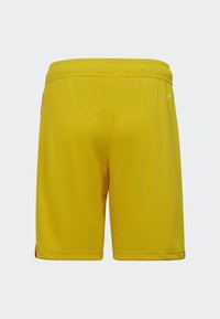 adidas Performance TIRO 23 - Kurze Sporthose - team yellow   team collegiate red