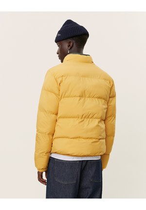 NEWPORT JACKET - Vinterjakke - mustard yellow