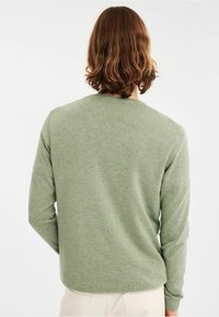 Lichtgroene, lange mouwen pullover trui met een ronde hals. Zachte textuur en ribbelmanchetten. Eenvoudig, modern ontwerp zonder zichtbare patronen.