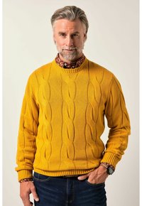 Muže se šedými vlasy a vousy, který má na sobě hořčicově žlutý svetr s pleteným vzorem přes vzorovanou košili, s jednou rukou v kapse džínů.