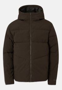 JJGLOBAL PUFFER JACKET - Winter jacket - delicioso
