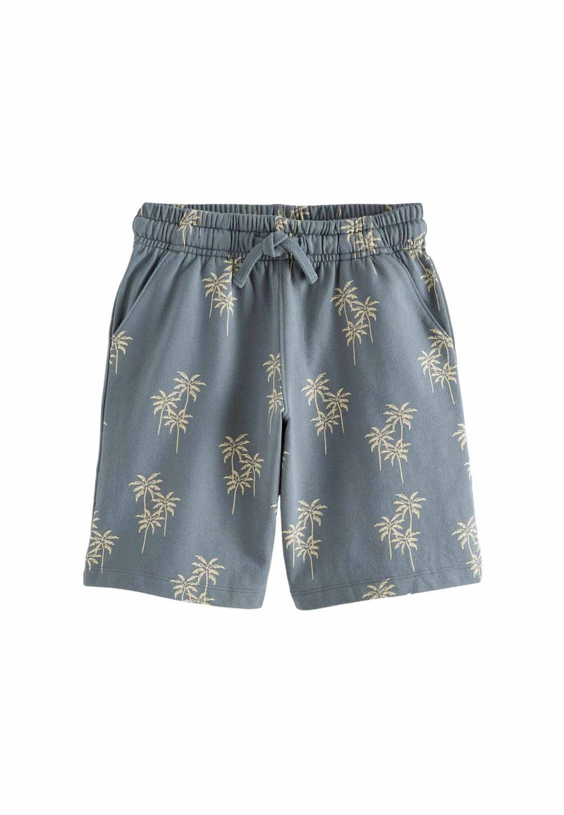 Next BANDANA PRINT REGULAR FIT - Verryttelyhousut - blue