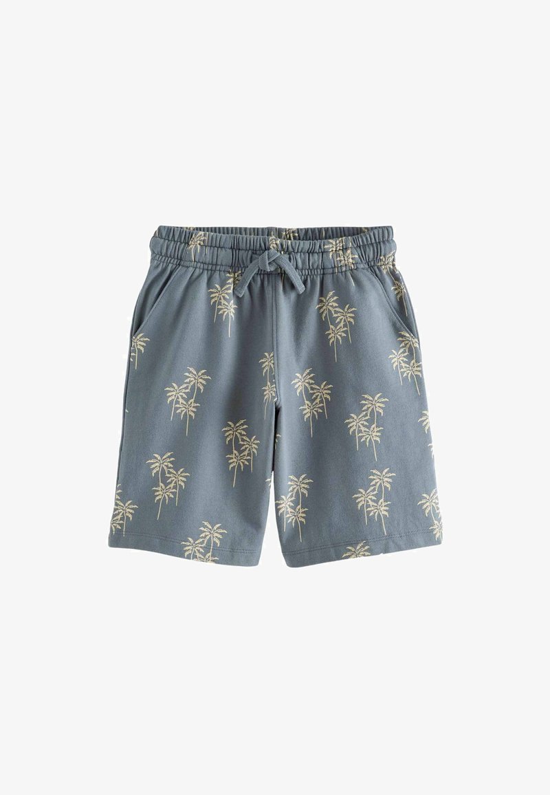 Next BANDANA PRINT REGULAR FIT - Trainingsbroek - blue