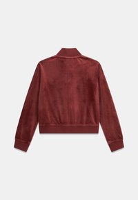 Veste bomber en velours bordeaux, avec col, poignets et ourlet côtelés. Texture lisse, design minimaliste, sans fermetures visibles.