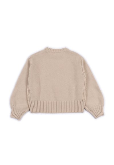 Maglione beige a maniche lunghe lavorato a maglia con polsini, orlo e scollatura a costine, mostrato da dietro su uno sfondo bianco.