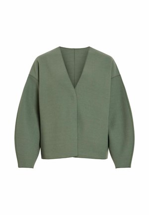 Olivzaļš džemperis ar dziļu V veida izgriezumu, nolaistām plecu līnijām un platiem piedurknēm. Mīksts audums ar gludu tekstūru un minimālām šuvēm.