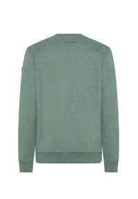 Felpa verde con collo rotondo, maniche lunghe e polsini a costine. Il tessuto ha una consistenza liscia e presenta un'etichetta all'interno del collo sul retro.