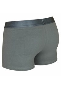 Graue Baumwoll-Boxershorts mit einem glatten schwarzen Bund, die ein einfaches Design und eine enganliegende Form aufweisen. Ohne sichtbare Muster oder Akzente.