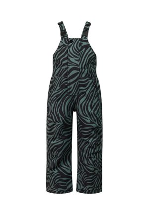 Pantalon de neige avec bretelles pour enfants, à rayures zèbre vertes et noires, avec bretelles ajustables.