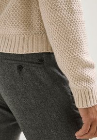Massimo Dutti Broek - light grey
