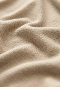 Next COSY CREW NECK REGULAR FIT - T-paita - mole brown