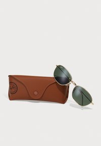 A pair of gold aviator sunglasses with green lenses, resting next to a brown leather case featuring a snap closure and embossed logo.