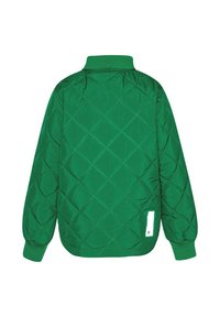 Molo HALLOW - Allvädersjacka - vivid green