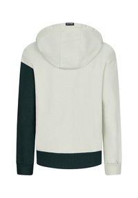 Felpa con cappuccio di colore grigio chiaro, manica sinistra di colore verde scuro e orlo, polsini a coste e piccolo etichetta in cima al cappuccio.