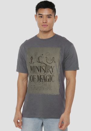Young man wearing a gray "Ministry of Magic" graphic t-shirt and light blue jeans, standing against a plain background.