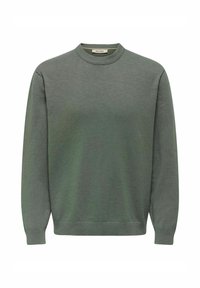 Groene trui met ronde hals, lange mouwen en geribde boorden en zoom. Gemaakt van zacht, textuurstof met een gladde afwerking.
