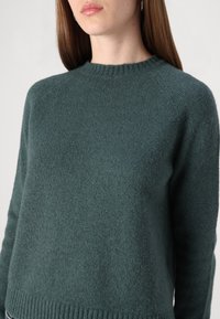 Pull en vert foncé, au toucher doux, avec un col rond, un ourlet côtelé et des manches longues, présentant une coupe décontractée et un minimalisme dans les détails de texture.