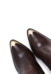 Chaussures en cuir marron à bouts pointus, avec des accents dorés au niveau des pointes et une texture lisse et élégante. Détails de couture sur les côtés.