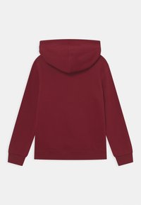 Bordeaux hoodie met een trekkoord in de capuchon, lange mouwen en een zachte textuur. De achterkant is eenvoudig, met ribbelboorden en een ribbelzoom.