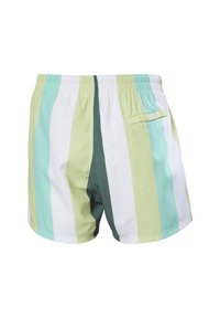 Męskie szorty kąpielowe z pionowymi paskami w miętowym, jasnym zielonym, białym i ciemnozielonym kolorze. Elastyczny pas i detal tylnej kieszeni.