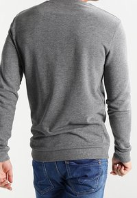 Maglione grigio a maniche lunghe con scollatura rotonda, realizzato in un materiale morbido. Presenta un orlo e polsini a costine, indossato con jeans blu.