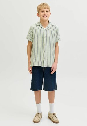 Blond chlapec stojaci a usmievajúci sa, oblečený v krátkemu rukávu zelenej pruhovanej košeli na gombíky, tmavých krátkych nohaviciach po kolená, bielych ponožkách a béžových topánkach.