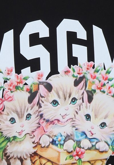 Design grafico con tre gattini in un cesto di legno, con fiocchi rosa e blu, circondati da fiori, su uno sfondo nero con testo audace.