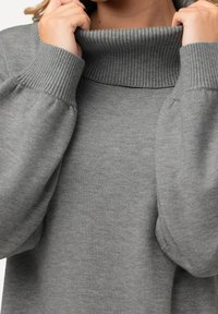 Pull en col roulé gris avec un col et des poignets côtelés, doté d'une texture douce et d'une coupe décontractée. Pas de motifs ni de matériel visible.