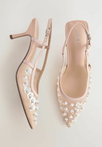 Pantofi cu toc înalt, nuanță nude, cu vârf ascuțit, partea superioară din plasă, ornamente florale și baretă în jurul gleznei cu o cataramă metalică.