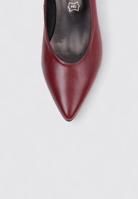 Chaussure à talon aigu en cuir bordeaux avec un design à bout pointu, présentant une texture lisse et un branding intérieur subtil.