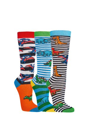 DINOSAURIER 3ER PACK - Kniestrümpfe - mehrfarbig