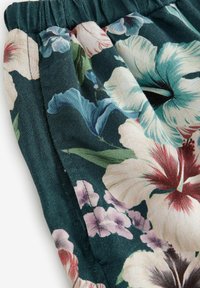 Shorts - teal green