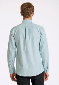 Lichtblauwe gestreepte blouse met lange mouwen, achterste plooi-detail en knoopmanchetten. Katoenen stof, casual pasvorm en gebogen zoom.