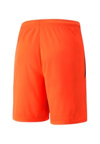Jasnopomarańczowe spodenki sportowe z elastycznym pasem, wykonane z lekkiego materiału. Posiadają czarny pasek akcentowy z boku.
