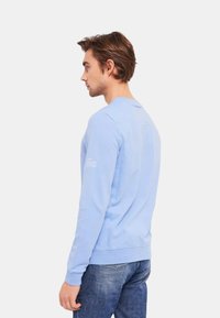 Felpa azzurra con maniche lunghe, scollo rotondo, polsini e orlo a costine. La manica sinistra presenta un dettaglio testuale bianco. Indossata con jeans blu.