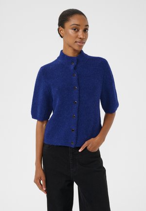 ALPHA SS  - Cardigan - bellwether blue
