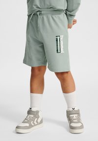 Ljust gröna shorts med elastisk midja och dragsko. Har ett vertikalt vitt och grönt logotryck. Matchas med vita och grå sneakers.