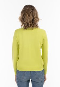 Maglione a maglia verde lime con maniche lunghe e orlo a coste, mostrato da dietro. Nessun motivo visibile o ulteriori decorazioni.