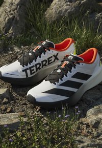 Chaussures de trail Adidas Terrex blanches et noires avec une doublure intérieure orange reposant sur un sol rocheux avec de l’herbe verte et de petites fleurs violettes.